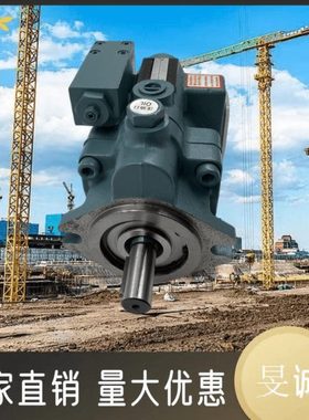 镒圣柱塞泵D10/16/23/38/43/50/70-A/AB/AA-N/N1/2/3/4-H1/2/3-K