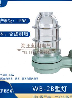 船用塑料白炽壁灯WB-2B壁式安装220V60W合成树脂防水灯机炉舱灯