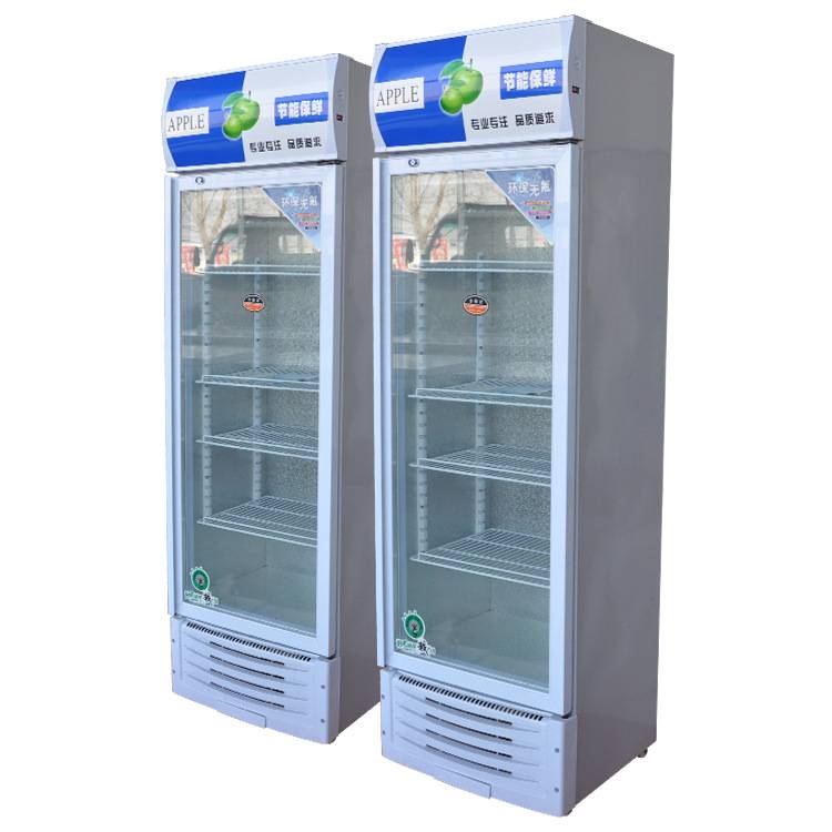 啤酒柜饮料柜商用立式冰柜冰箱玻璃门单门水果柜啤酒柜冷藏展示柜