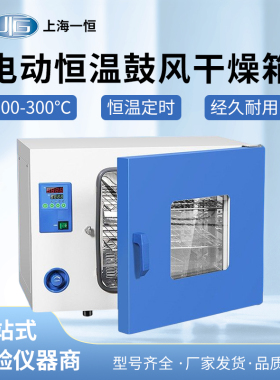 上海一恒DHG-9015A电热鼓风干燥箱实验室恒温工业烤箱小型烘干箱