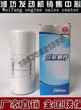 6M11潍柴WP13博杜安6M16原厂6M21柴油滤芯1001242123燃油精滤芯