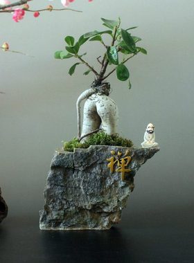 创意达摩禅意家居客厅中式装饰工艺品办公室书房榕树桌面茶几摆件