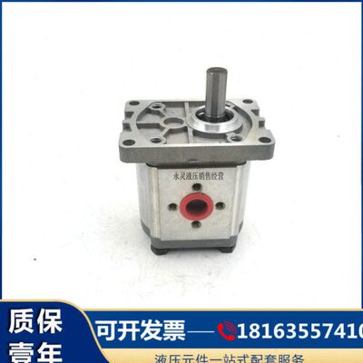 齿轮泵 CBN-F304/F306/F308/F310/F312/F314/F316/F318/F320/F325