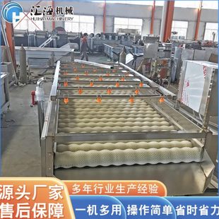 供应桔梗去皮机 莴苣去皮机设备 根茎类植物毛辊清洗机 厂家供应