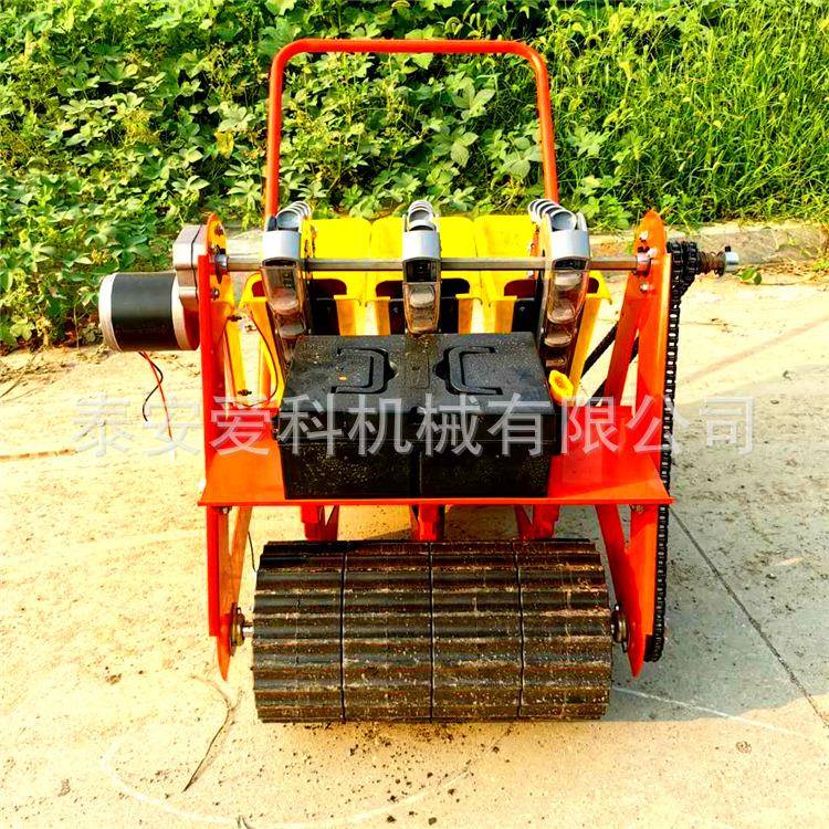 独蒜播种机栽蒜机多行大蒜种植机电动手推大蒜播种机山东泰安现货