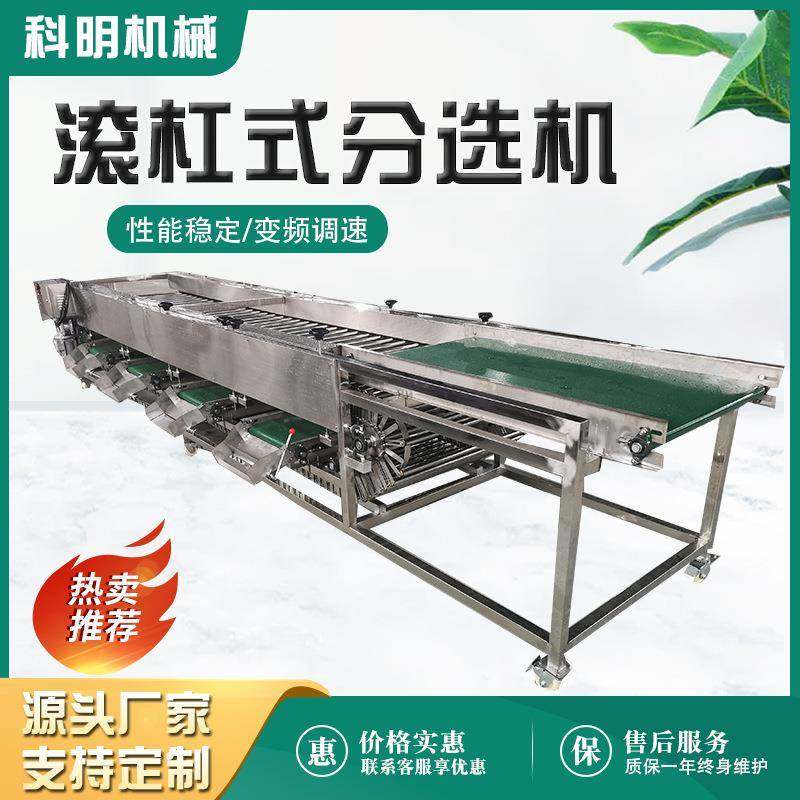 核桃龙眼大小分选机柑橘水果分选机葡萄干震动分选机西梅干分选机