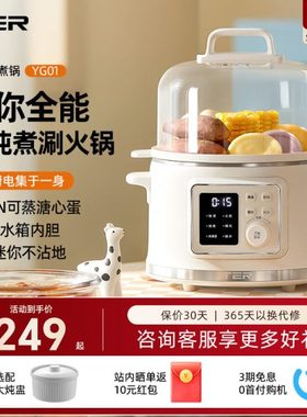 TER电蒸锅家用多功能智能蒸箱蒸煮一体锅多层小型蒸汽锅蒸蛋器