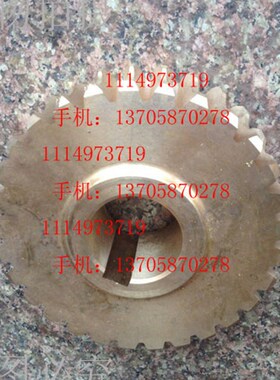 C5116A/C5112A 立车铜蜗轮 侧刀架用涡轮 29齿 4磨