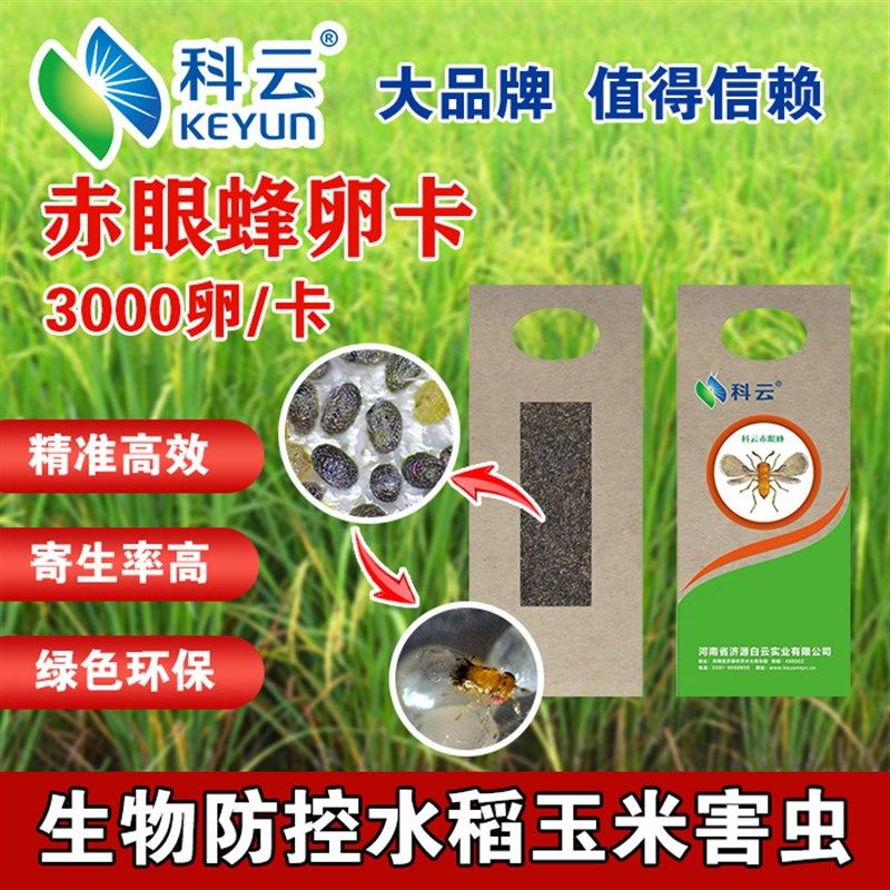 赤眼蜂卵卡天敌昆虫寄生蜂防治水稻玉米二化螟玉米螟棉铃虫秋粘虫,农用物资,捕食螨/寄生蜂,淘宝优惠券,粉丝福利购,淘宝优惠卷