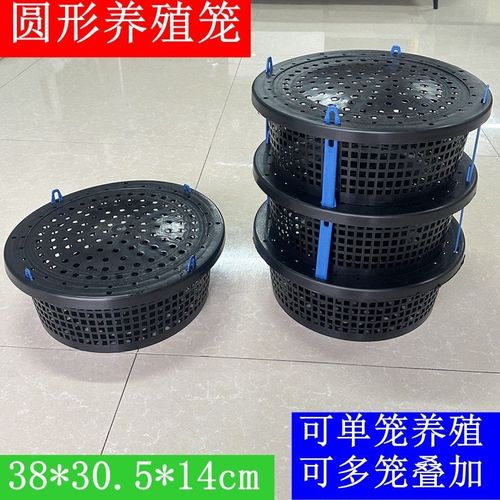 新型圆形养殖笼可单笼养殖也可多层叠加螃蟹海鲜鲍鱼海参饲养设备