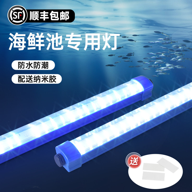 海鲜池专用灯鱼缸鱼池水产蓝色照明直插式免安装防水长条led灯管,家装灯饰光源,LED灯管,淘宝优惠券,粉丝福利购,淘宝优惠卷