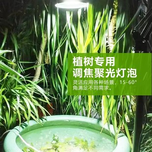 室内LED植物生长灯 仿太阳光绿植盆栽专用调焦蔬菜全光谱植物补光