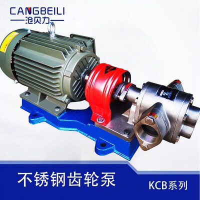 包邮304不锈钢齿轮泵KCB18.3/33.3/55/83.3/200/300化工自吸泵