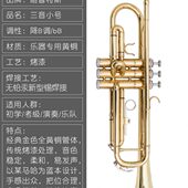 初学演奏考级专业乐队教学教会西洋乐器 降B调三音小号 小号 乐器