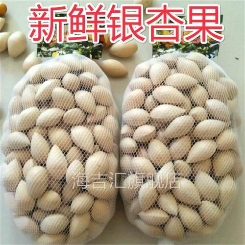 新鲜生白果银杏果2斤包邮（保质保量）鲜白果仁银杏带壳无漂白