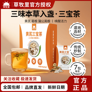 草牧里黄芪三宝茶葛根蒲公英根茶包中药材无粉碎小包装