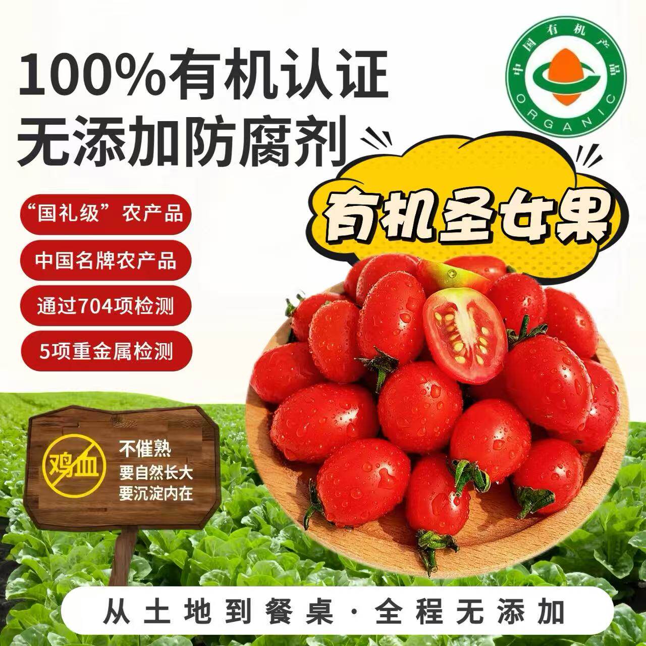 有机圣女果樱桃番茄老人妇婴鲜果