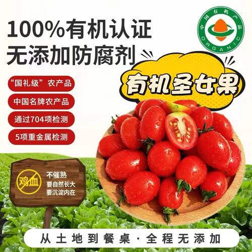 有机圣女果樱桃番茄老人妇婴鲜果