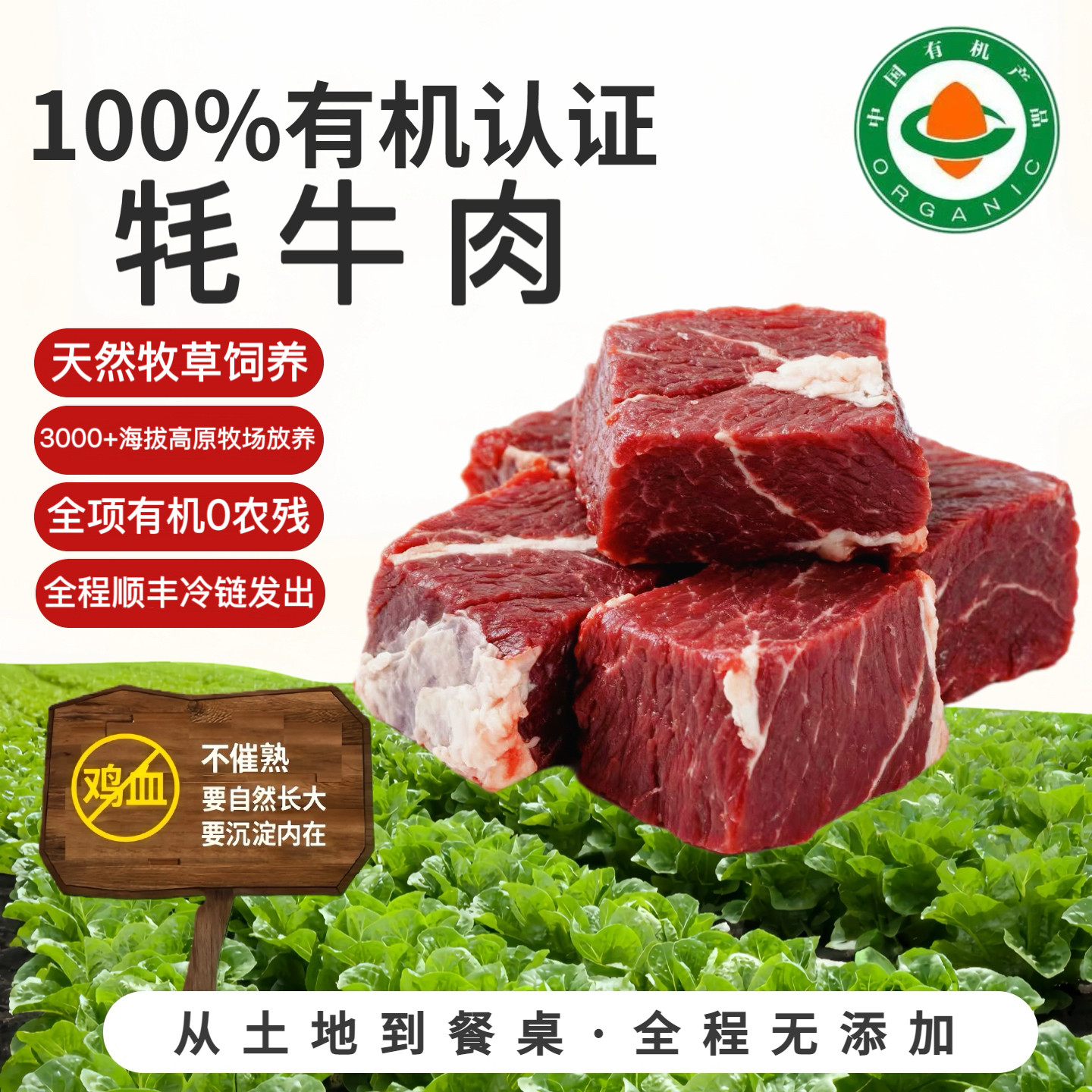 有机新鲜原切牦牛肉天然高原牧场散养草料饲养不注水顺丰冷链包邮