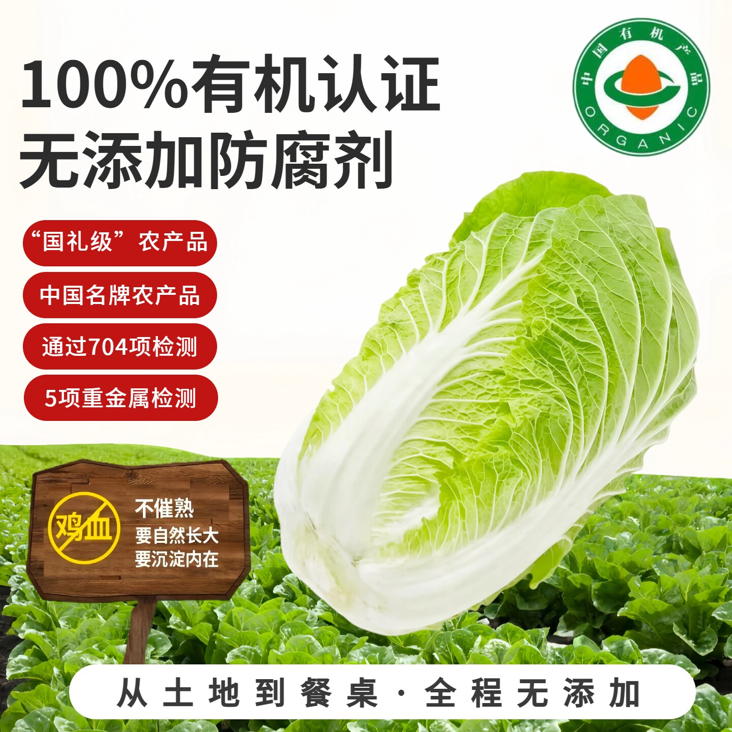 有机认证白菜无农残顺丰