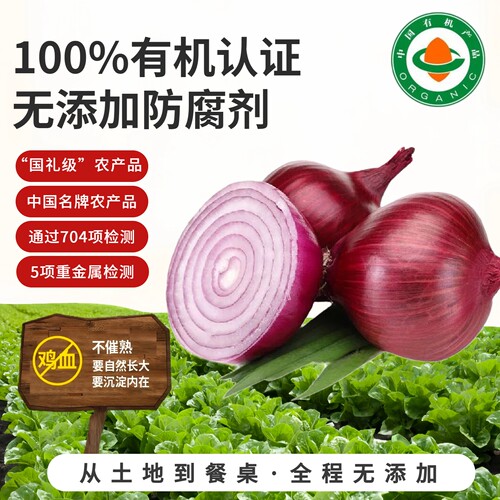 有机认证红洋葱 丰富硒元素天然无硫熏不呛鼻基地直发全家健康菜
