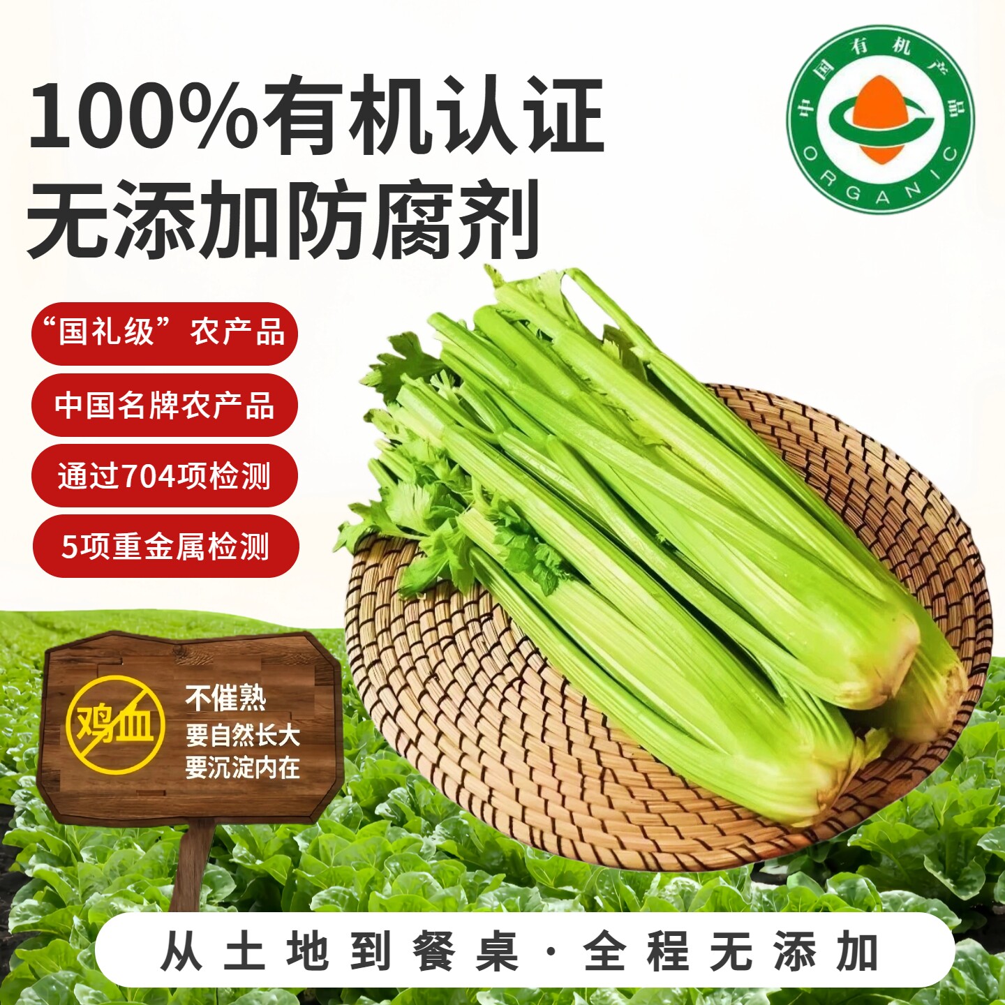 有机西芹无农残顺丰包邮