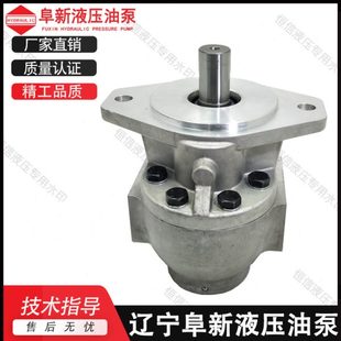 E10 31.5 辽宁阜新齿轮泵CBF 油泵