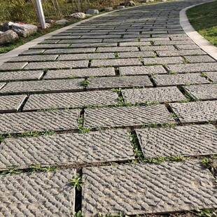 96048庭院砖室外天然青绿石板铺地步垫脚化地铺路防滑踏青石板