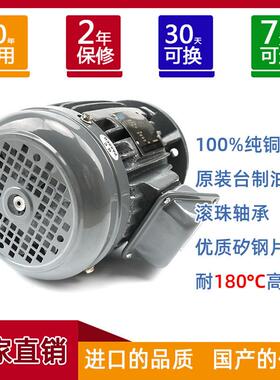 电机家台款厂铁长轴电机隧道炉烤长箱轴风铸机耐高HZH温可做非标