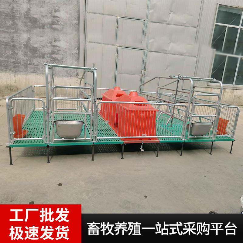 现货母猪产床猪用复合产保两用仔猪分娩床热镀锌加厚母猪产床