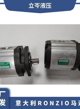 意大利RONZIO罗茨同步马达FDRA020063WVR270DMC齿轮泵