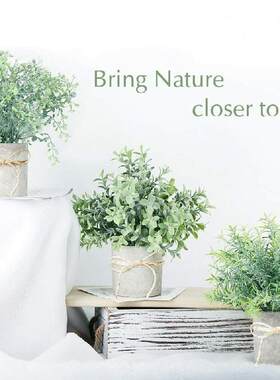 人造盆栽植物假桉树植物迷你塑料绿草带花盆家居餐桌装饰3件套装
