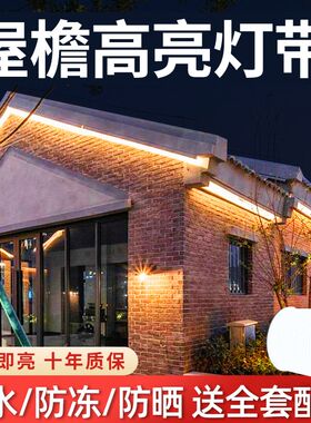 led农村房檐灯带黄光室外防潮高压耐弯曲工程子屋顶X硅胶氛围灯条