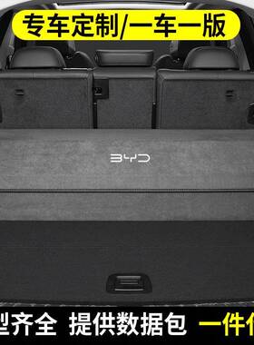 比亚迪后备箱收纳箱海豚/元max宋PRO秦PIUS唐DMI汉EV汽车储物箱盒