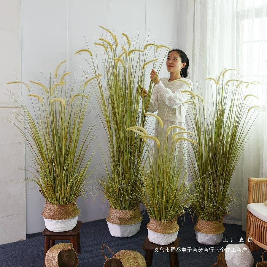 绿植狗尾巴草假芦苇草落地盆栽装饰盆景室内客厅植物造景摆件办公