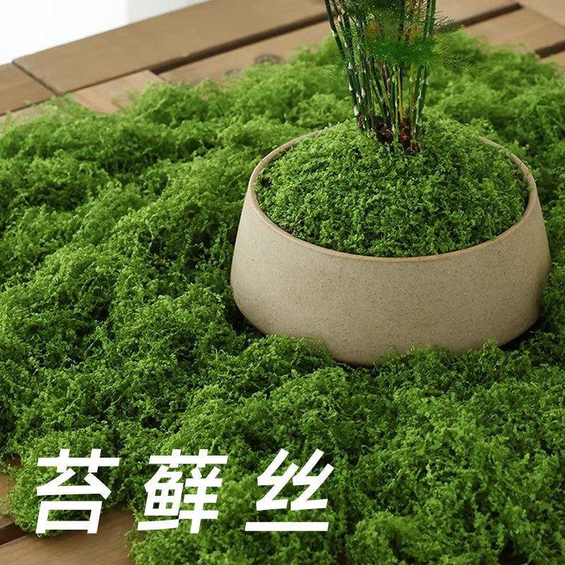 现货仿真青苔植毛草坪苔藓植物造景装饰绿植室内摆件网红毛线青苔