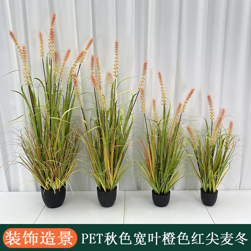 装饰造景网红盆景新款仿真植物雪狐尾草狐尾巴草麦冬带盆盆栽摆件图片