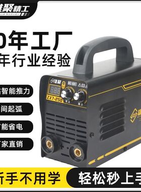 雄聚电焊机家用220v纯铜250超小型迷G你大功率直流便携全铜315焊