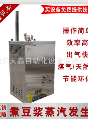 煮豆浆机器 燃气蒸汽发生器 30/40/5G0/60火排煤气锅炉 豆制品设