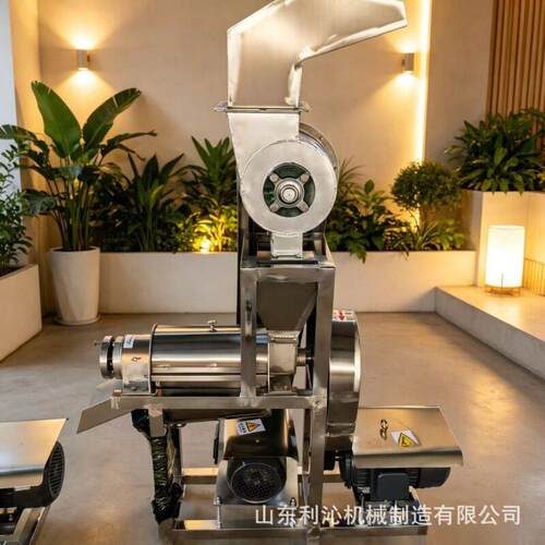 大型生姜破碎榨汁机不锈钢水果蔬菜压榨机苹果梨子工业榨汁机