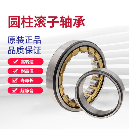 无外圈圆柱滚子轴承RN305M 306 307 308 309 310 311 312 313EM