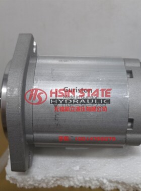 齿轮泵P204R/P206R/P208/P211/P214/P216R/P219R/P225R/P230RP01D