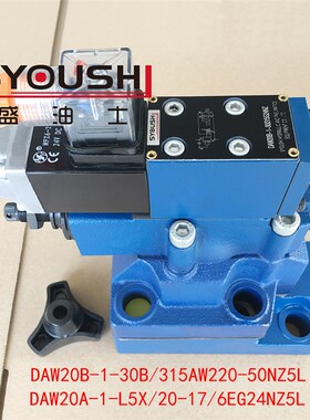 阀DAW20B-1-30B/315AW220-50NZ5L,DAW20A-1-L5X/20-17/6EG24NZ5L