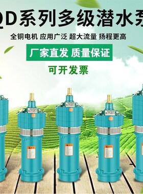 德国进口高扬程潜水泵农用灌溉深井泵小老鼠多级泵喷泉泵大流量抽