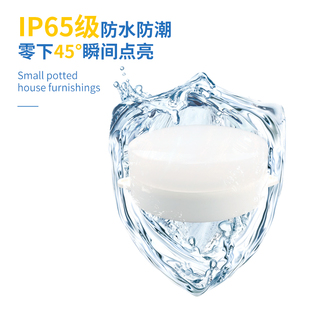 led冷库专用灯圆形耐低温工厂防爆灯卫生间浴室防水防潮照明灯具