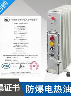 BDN58-2000W11片220V防爆电热油汀功率2KW隔爆型密闭式电热油汀