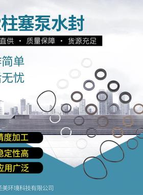 高压柱塞泵意大利AR泵配件RTP水封42159密封圈