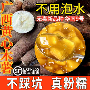 广西黄肉面包木薯新鲜现挖板栗黄心木薯粗粮粉香木薯糖水店同款