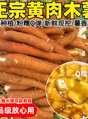 广西特产黄心木薯新鲜现挖农家当季黄肉面包木署板栗红薯糖水店