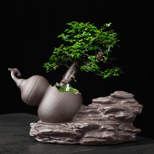 创意紫砂花盆陶瓷葫芦盆室内桌面绿植造景盆飘枝中式禅意盆景花盆